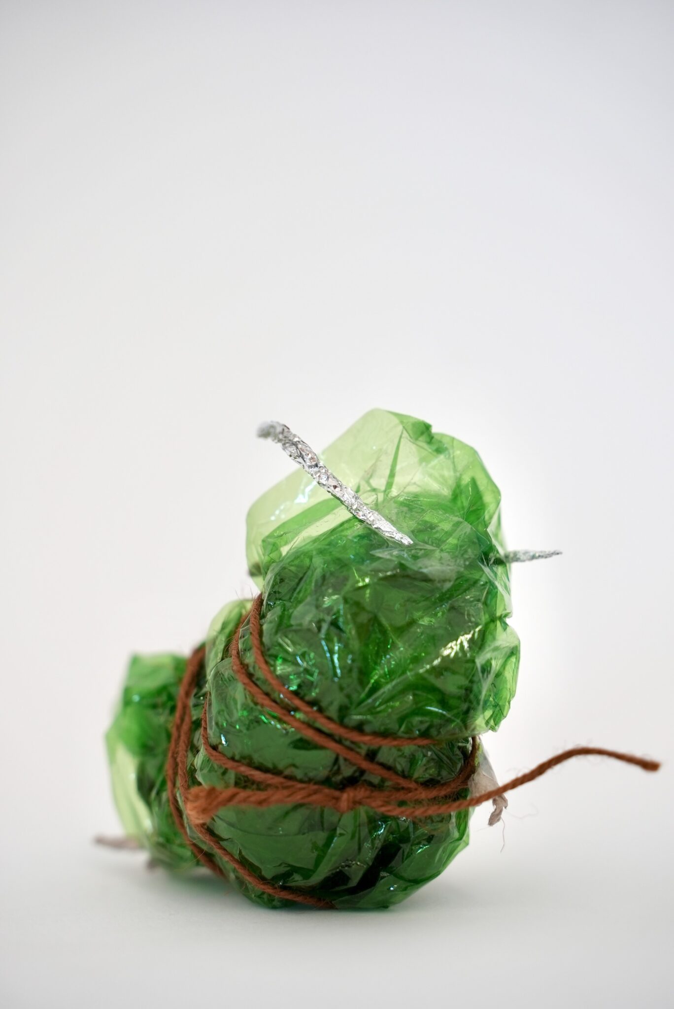 World Beneath The Water – Sound, art and biology with KS2 students