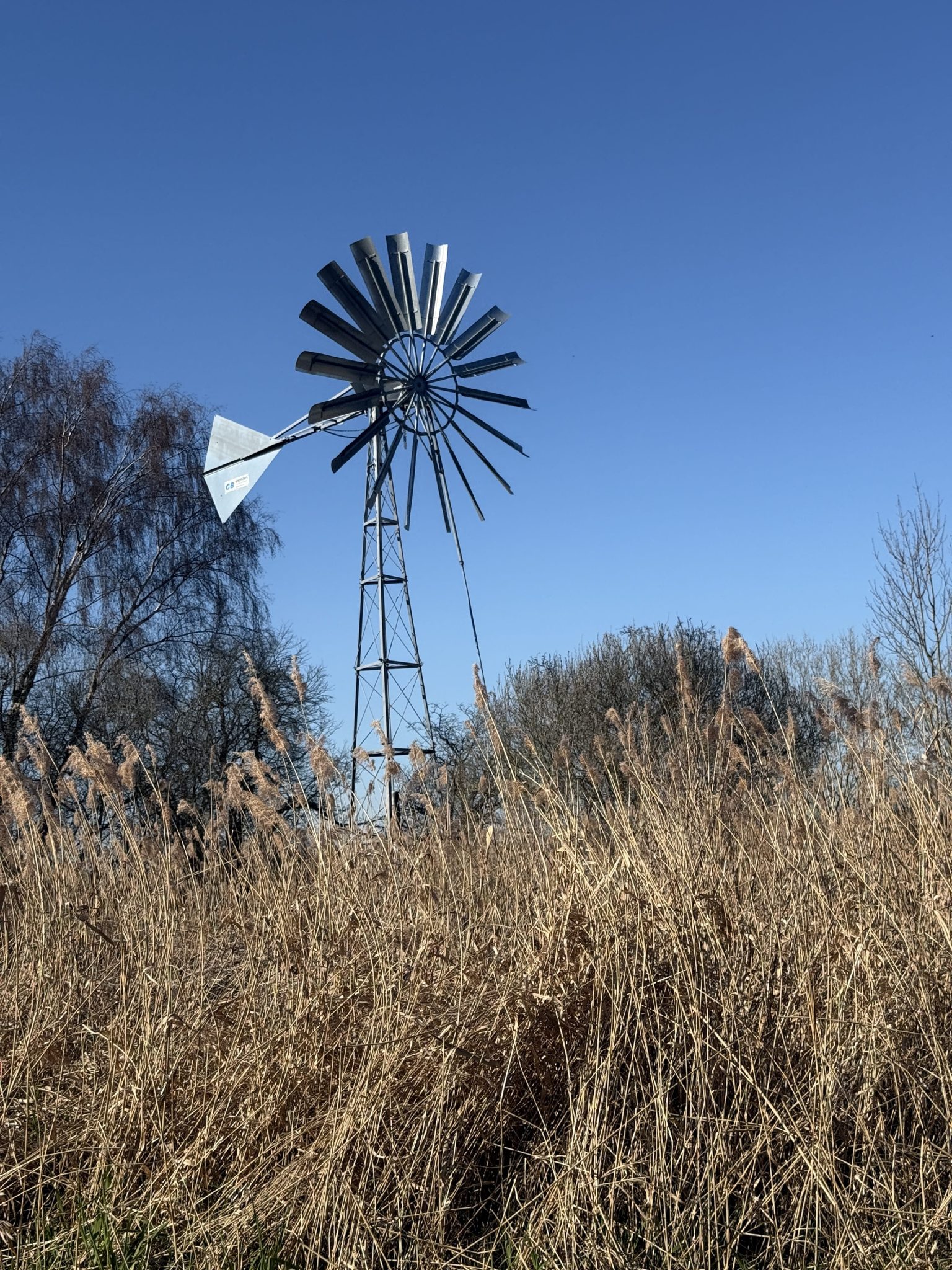 Fenland Conversations: Exploring shared futures of the Fens through sound.